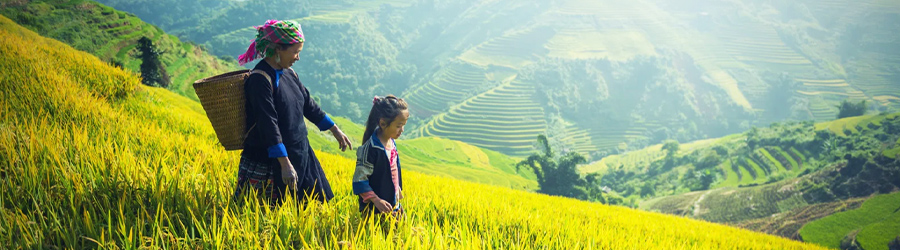 Best things to do in Sapa, Vietnam